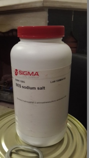 BES sodium salt B2891 100G SIGMA