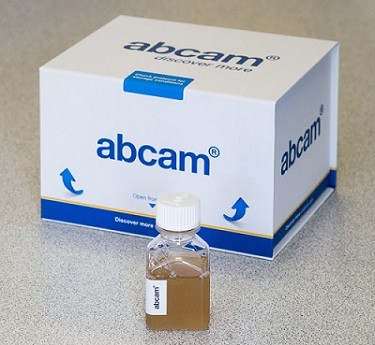 Normal Rabbit Serum (ab166640) 10ml Abcam