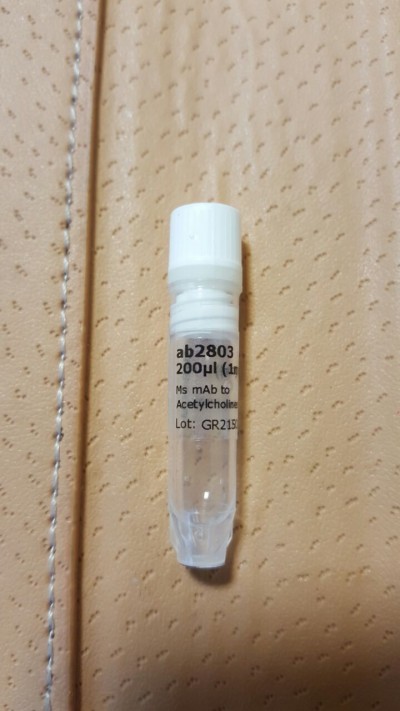 Anti-Acetylcholinesterase antibody [HR2] (ab2803)