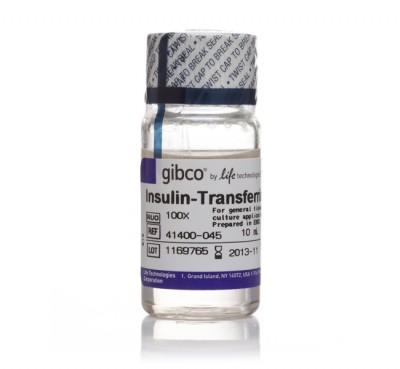 12097549 - Insulin-Transferrin-Selenium-G Supplement (100X) liquid Invitrogen 