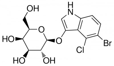 5برومو -4-کلرو -3-ایندولیل β-D-گلکتو پیرانو ساید 50 میلی گرم کد B4252