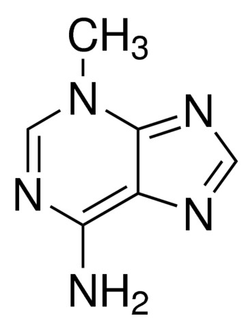 M9281 Sigma 3-Methyladenine  100mg