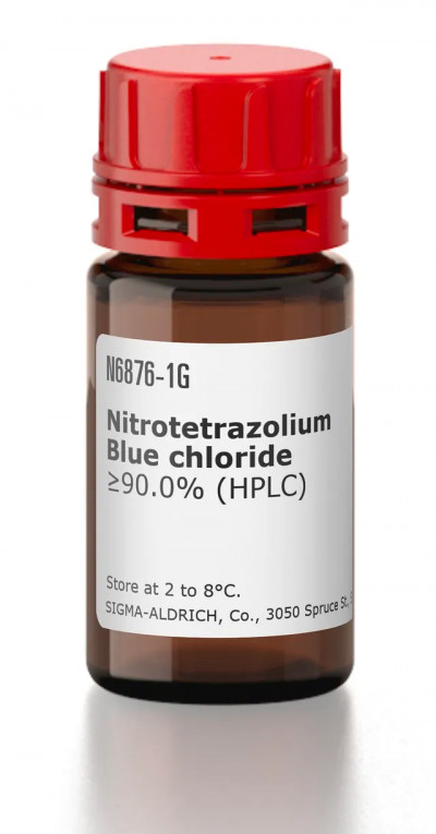 نیتروبلوتترازولیوم کلراید NBT سیگما 1 گرمی کد N6876