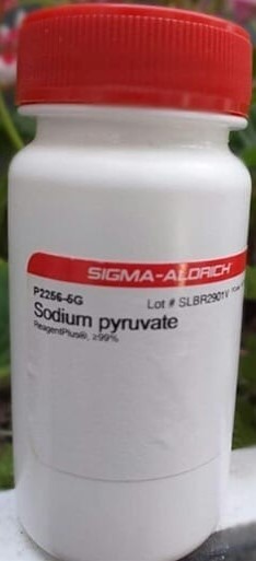 سدیم پیرووات 5 گرمی کد P2256 کمپانی سیگما آلدریچ آمریکا 