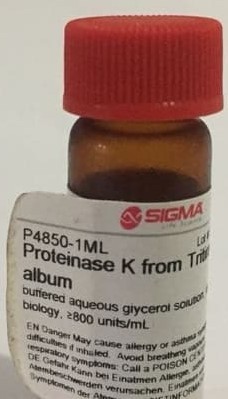 پروتئیناز کا 1 میلی کد P4850 ساخت شرکت سیگما آلدریچ آمریکا 