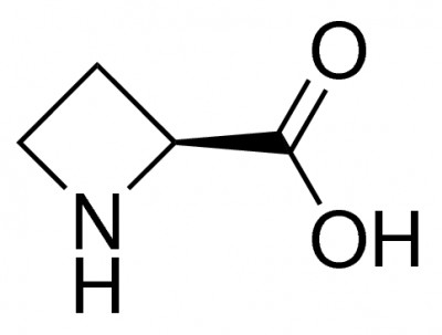 اسید L-Azetidine-2-کربوکسیلیک 50 میلی گرم کد A0760