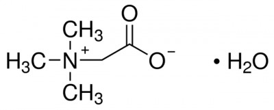 مونوهیدرات بتائین 500 گرم کد B2754
