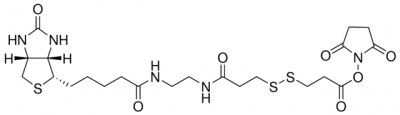 بیوتین دی سولفیدN هیدروکسی سوکسینامید استر 10 میلی گرم کد B4531