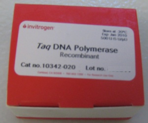 Taq DNA Polymerase کد 10342-020 ساخت شرکت اینویتروژن آمریکا 500 یونیت 