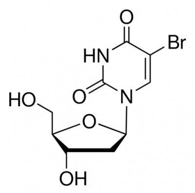 5-برومو-2′-دئوکسیوریدین 100 میلی گرم کدB5002