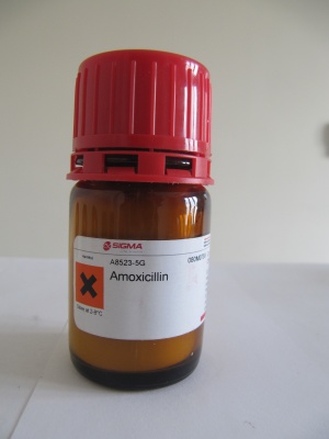 آموکسی سیلین 5 گرمی کد A8523 ساخت سیگما 