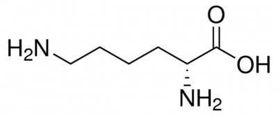 Sigma D-Lysine L8021 - ≥98% (TLC) 1g دی لایزین 