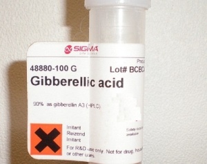 10g Gibberellic Acid 90% GA3 . Technical Grade جبرليك اسيد
