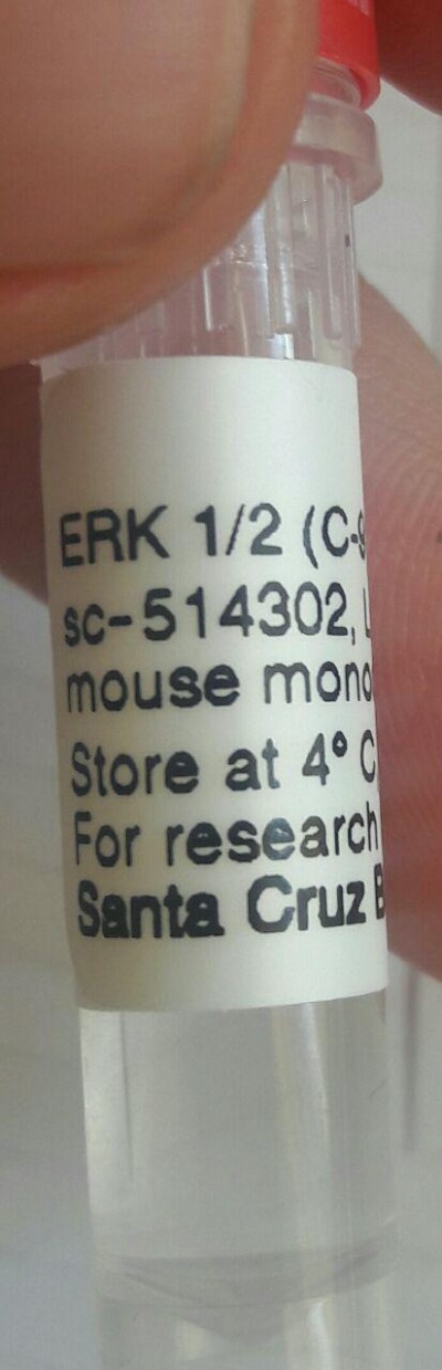 ERK 1/2 Antibody (C-9): sc-514302