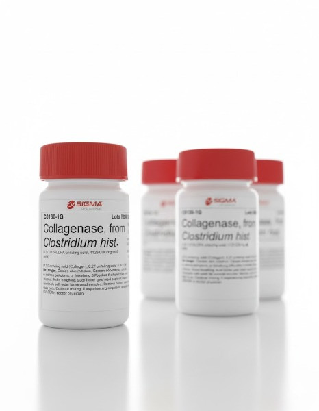 خرید کلاژناز سیگما آلدریچ 100 میلی‌گرم کد C0130 | Collagenase Sigma Aldrich اصل آمریکا