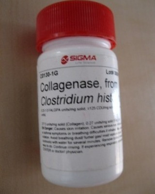 خرید کلاژناز سیگما آلدریچ 100 میلی‌گرم کد C0130 | Collagenase Sigma Aldrich اصل آمریکا