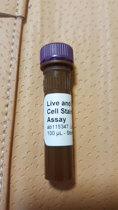 Live and Dead Cell Assay (ab115347)
