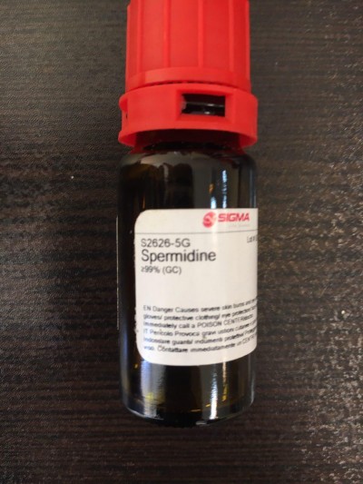 تصویر بسته‌بندی ۵ گرمی اسپرمیدین (Spermidine) از Sigma-Aldrich با خلوص ≥۹۹% | مناسب برای تحقیقات بیوشیمیایی و زیست‌شناسی مولکولی