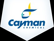 Cyclic AMP ELISA Kit_96 strip wells	581001 	Cayman