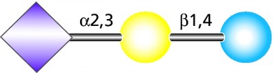 3′-سیالی لاکتوز 1 میلیگرمی کد A8681