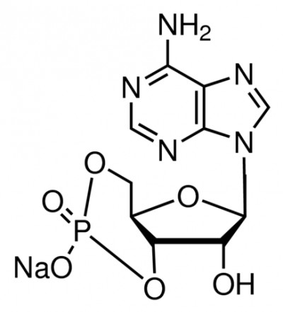 آدنوزین  3 ، 5 ′سیسلیک مونوفسفات سدیم سالت 25 میلیگرمی کد A6885 