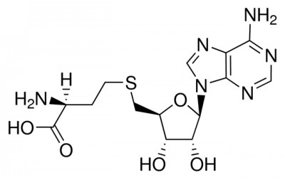 اس (5′-آدنوزیل) -L-هموسیستئین 10 میلیگرمی کد A9384