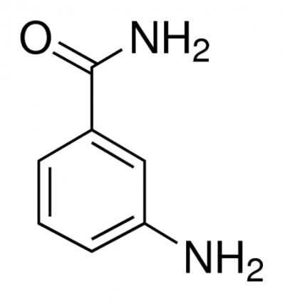 3-آمینوبنزامید 100 میلیگرمی کد A0788