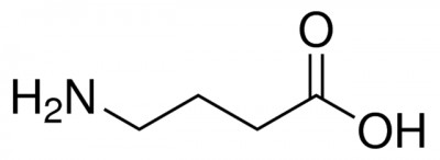 γ-آمینوبوتیریک اسید 10 گرم کد A2129