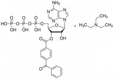 نمک2 ′(3′)-O- (4-بنزوئیل بنزوئیل)آدنوزین5'-تری فسفات تری اتیل آمونیم  5 میلی گرم کد B6396