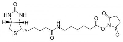 بیوتینامیدو هگزانوئیک اسید ان هیدورکسی سوسینیمید استر 10 میلی گرم کد B2643
