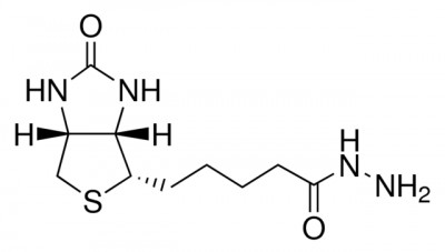(+) - بیوتین هیدرازید 100 میلی گرم کد B7639