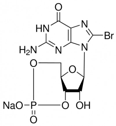 نمک سدیم منوفسفات3 ′،5 ′ حلقوی 8-بروموگوانوزین 10 میلی گرم کد B1381