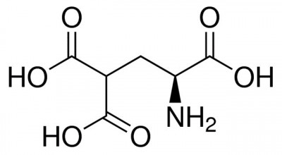 گاما کربوکسی گلوتامیک اسید 1 میلیگرمی شماره CAS: 53861-57-7 
