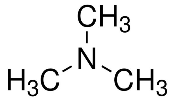 Trimethylamine solution