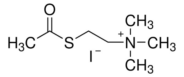 Acetylthiocholine iodide