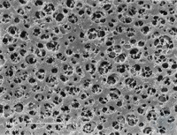 CAMembran, 1.2µm, 50mm, 100pc, het Membraanfilter van de Celluloseacetaat/Type 12303 De...