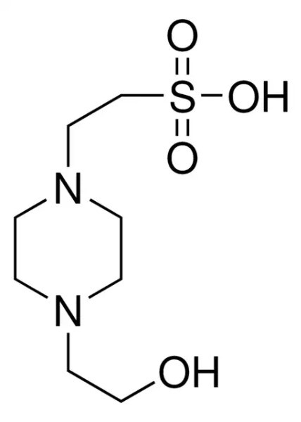 ساختار شیمیایی HEPES