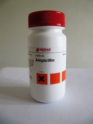 Ampicillin