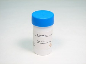 E. coli BL21 1 * 1 Vial (GE HEALTHCARE)27-1542-01 