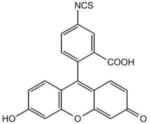 FITC (fluorescein-5-isothiocyanate، fluorescein isothiocyanate isomer I) ≥95٪  1g Cat L09319