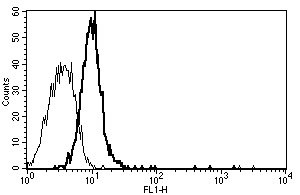 آنتی بادی ضد CD130 (gp130) [B-S12] - بدون BSA و Azide100 میکروگرم  (ab27359) 
